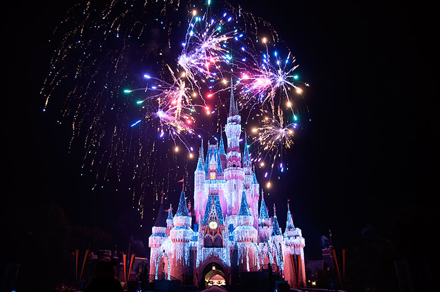Disney2014__307