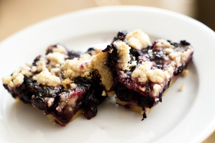 Blueberry Crumb Bars