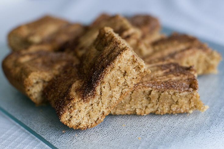 Snickerdoodle Blondies